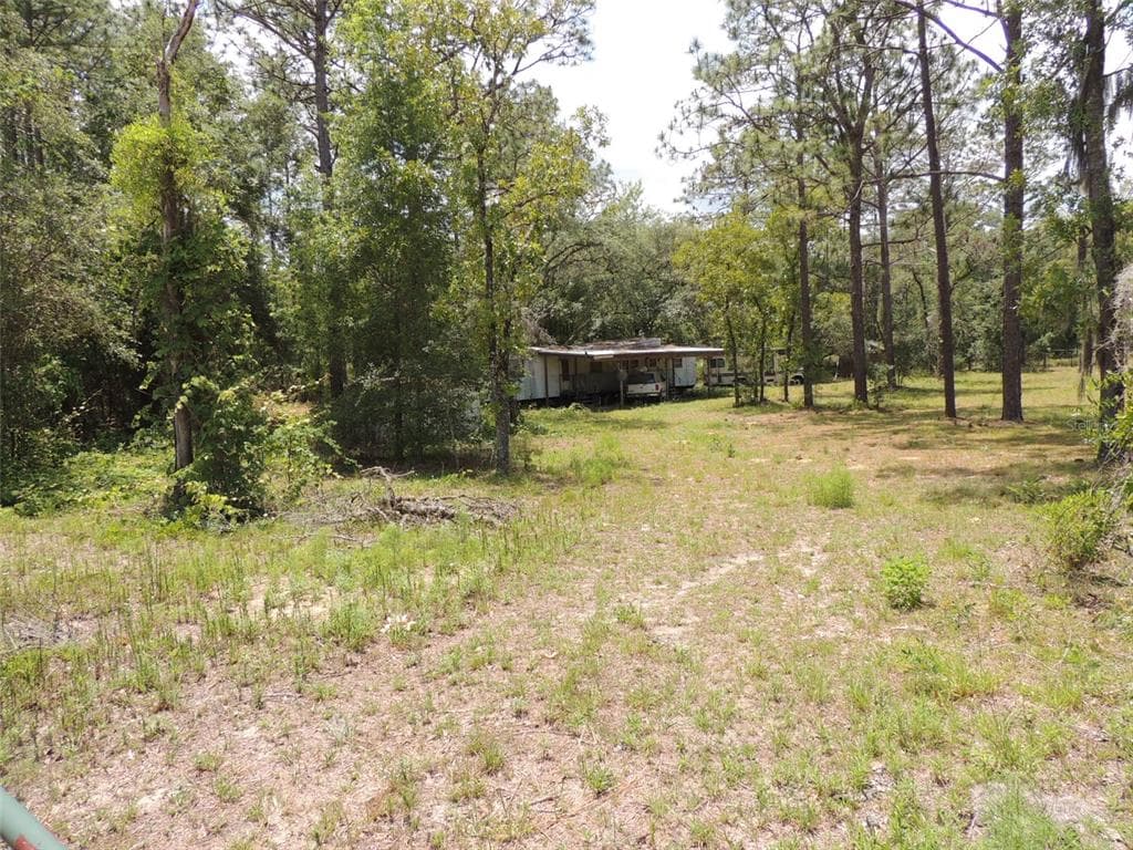 250 NE 131ST AVENUE, WILLISTON, FL 32696