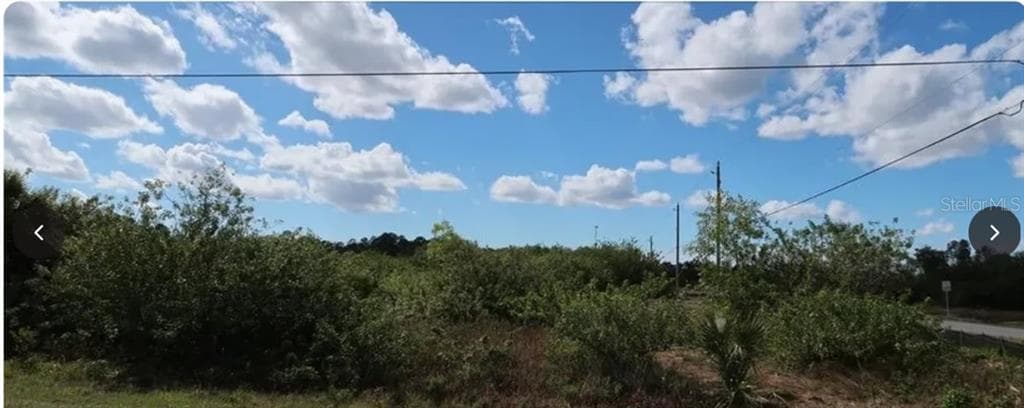 836 NEUSE AVENUE, FORT MYERS, FL 33913