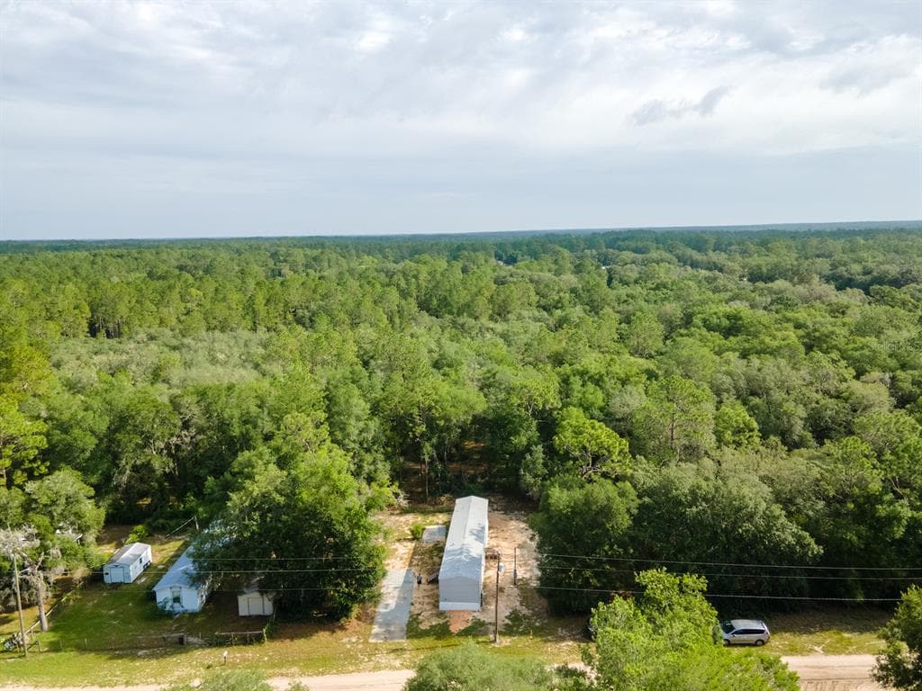 14585 NE 149TH LANE, FORT MC COY, FL 32134