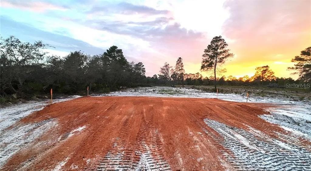 WOODSTORK WAY