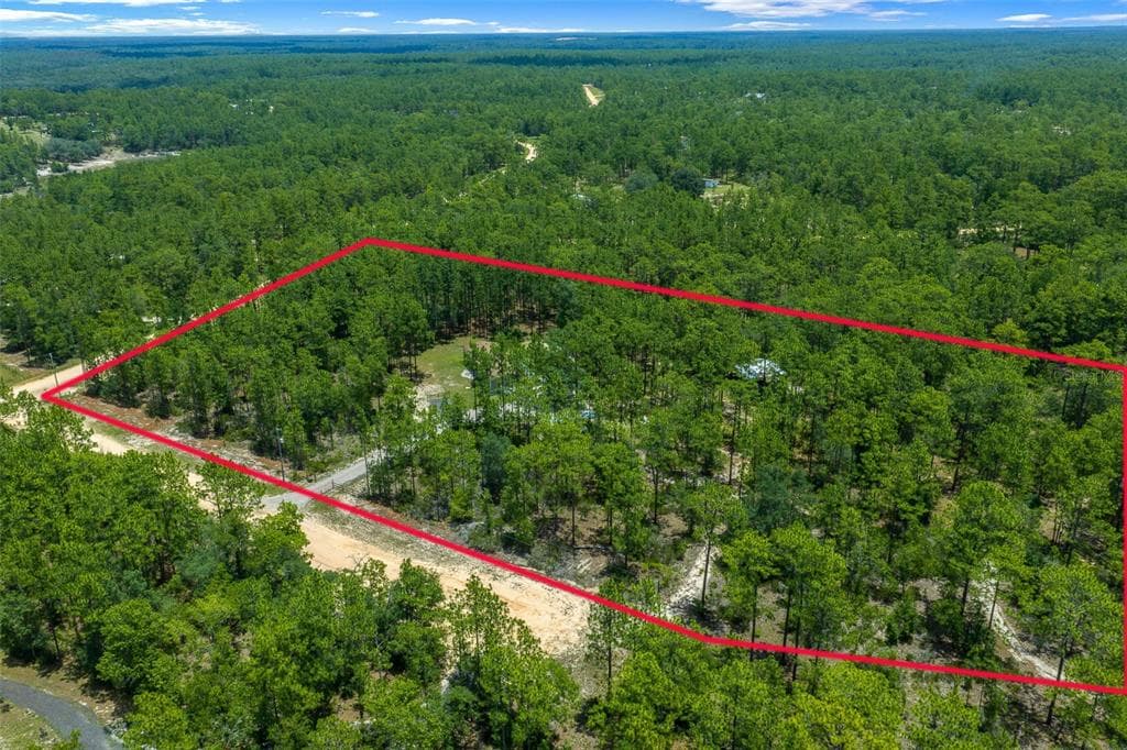 105 BUCK RUN TRAIL, HAWTHORNE, FL 32640