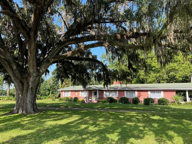18951 SE 15TH STREET, WILLISTON, FL 32696