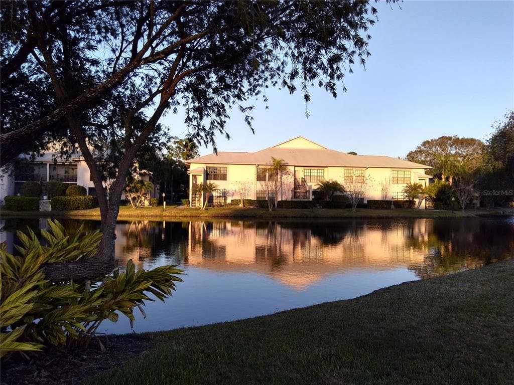 3366 MERMOOR DRIVE # 206, PALM HARBOR, FL 34685