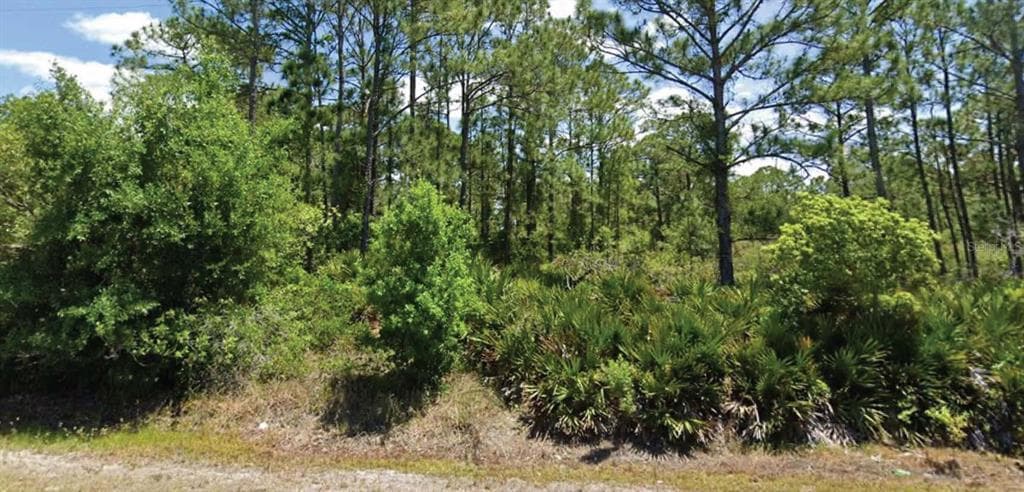 648 PERSHING AVENUE, LAKE PLACID, FL 33852