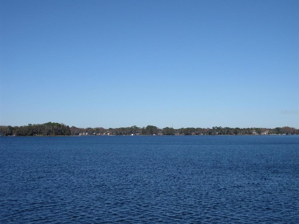 18618 WAYNE ROAD, ODESSA, FL 33556