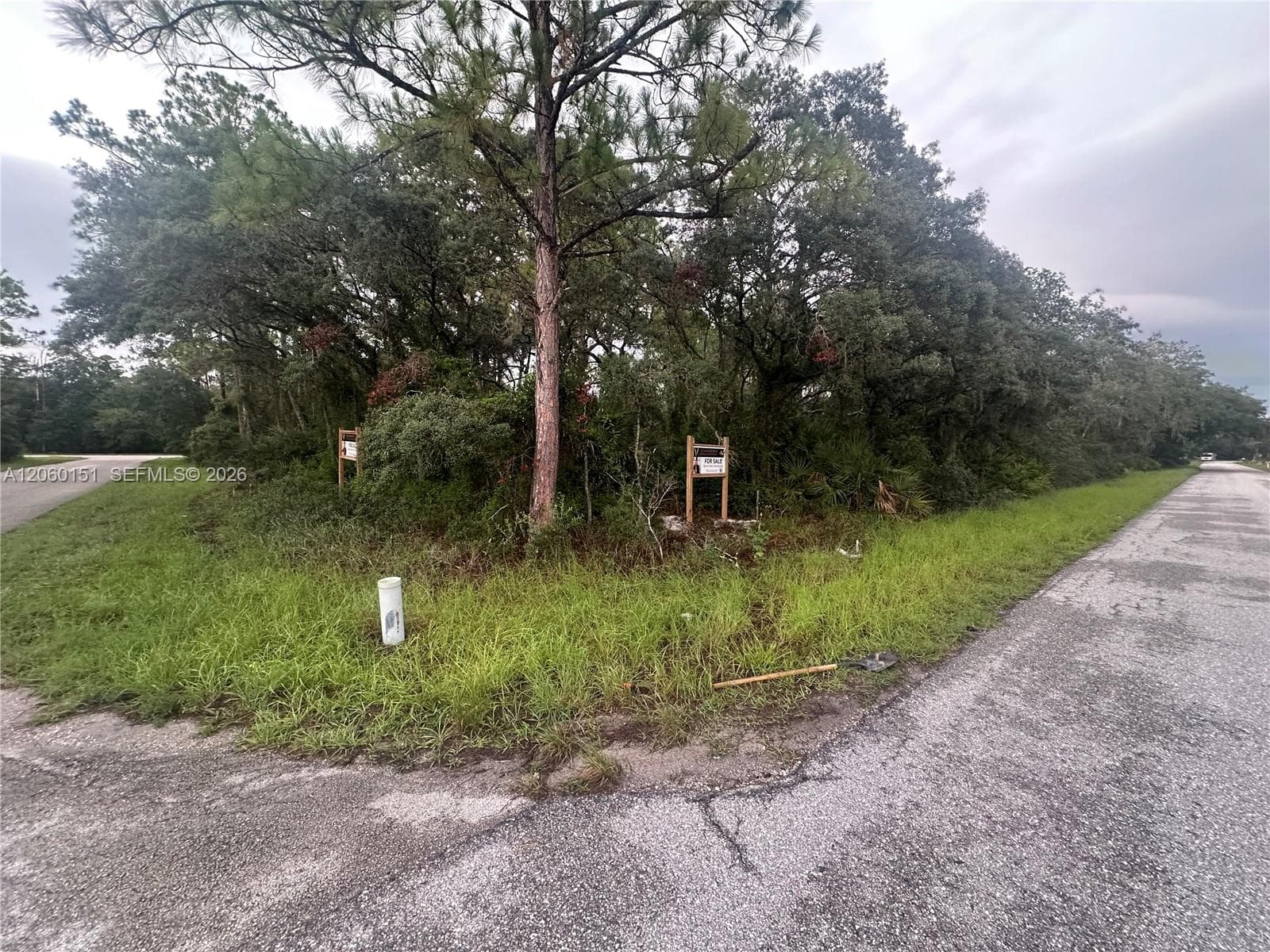3362 Gossamer Ave, Lake Placid, FL 33852