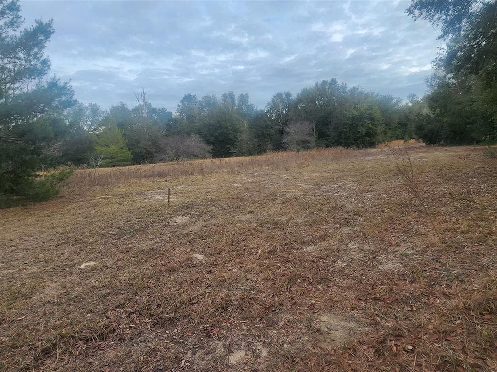 2407 JACKSON STREET, INVERNESS, FL 34453