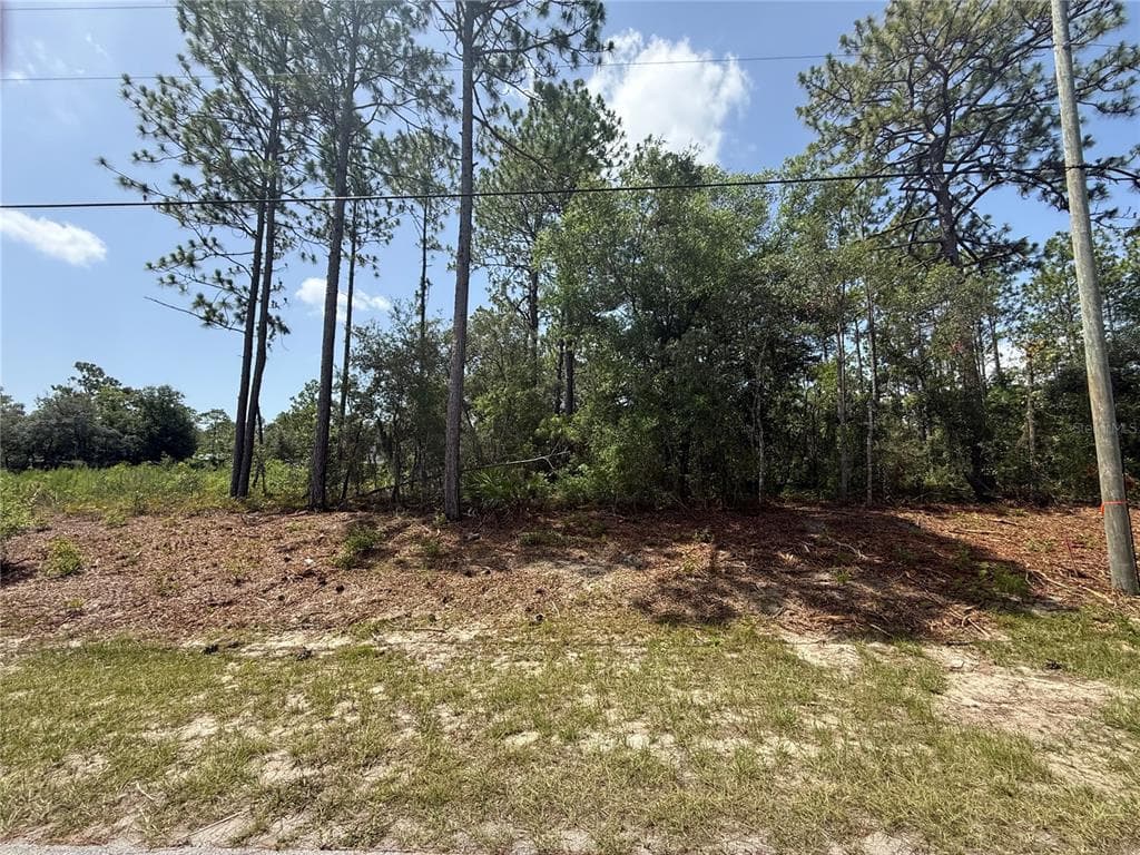 7069 N SANTOS DRIVE, CITRUS SPRINGS, FL 34434