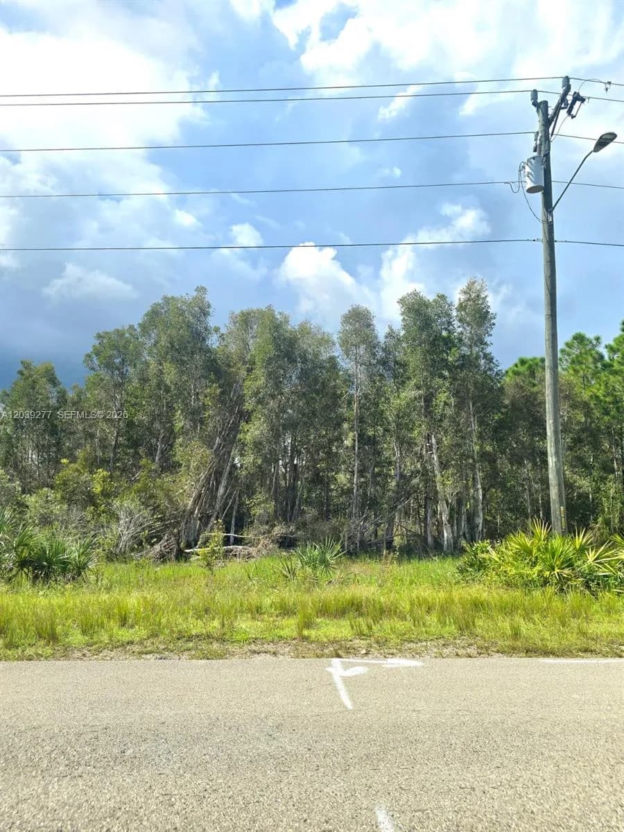2650 Meadow RD, Lehigh Acres, FL 33974