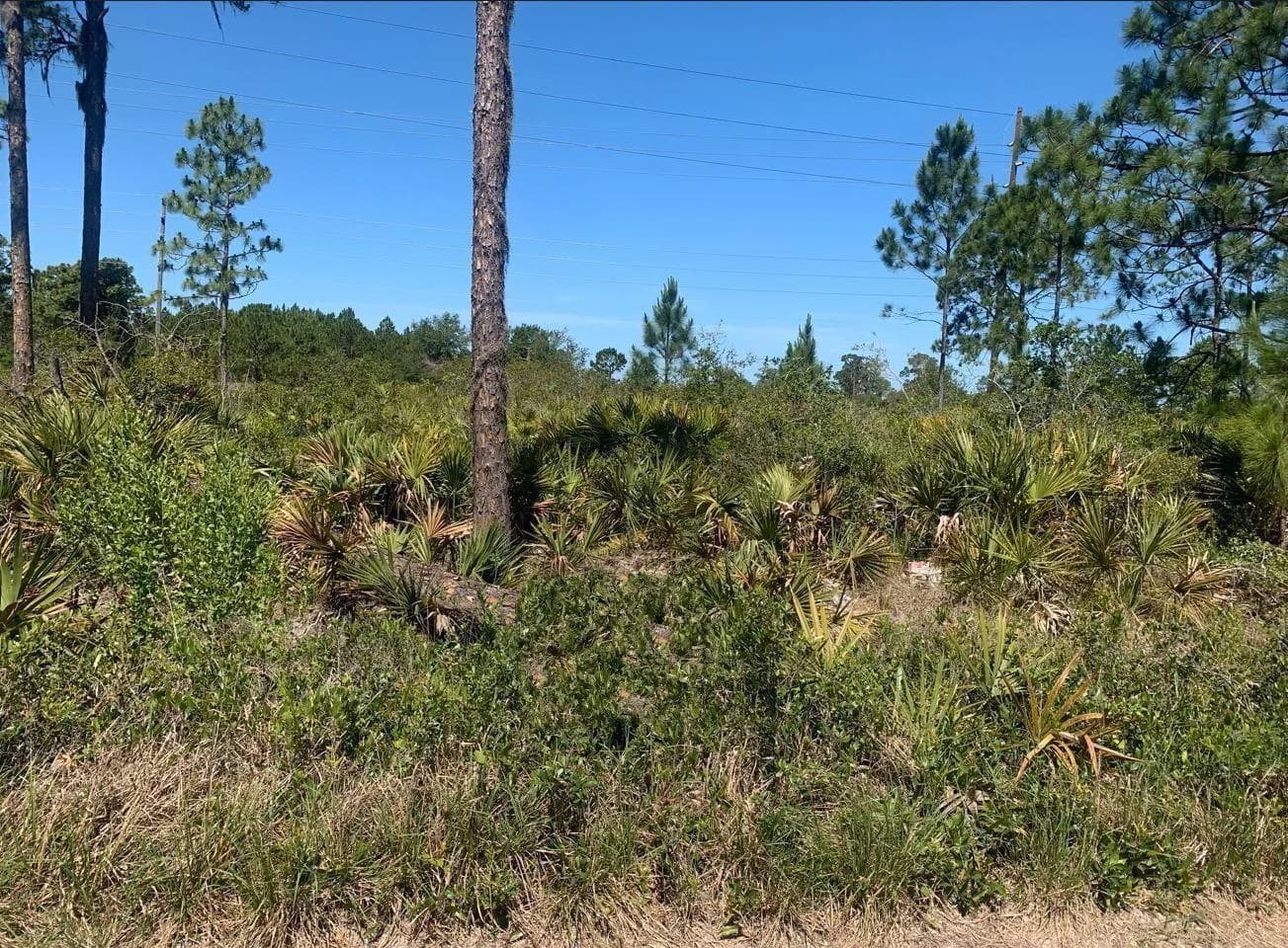 329 Phesant Boulevard, Sebring, FL 33872