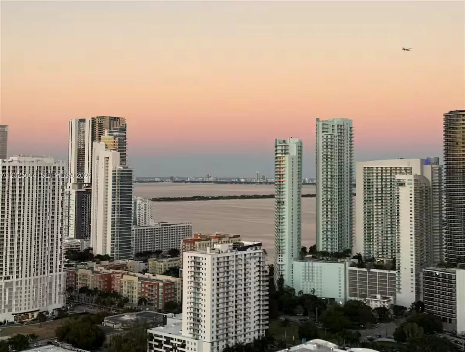 1600 NE 1 AVE # 3519, Miami, FL 33132