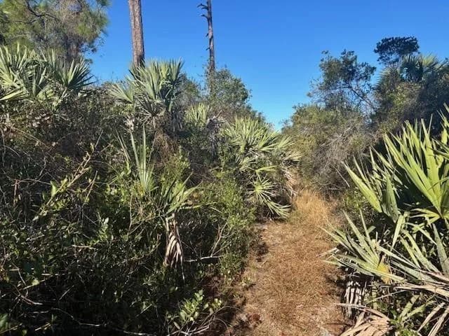 42260 93rd Avenue, Vero Beach, FL 32966