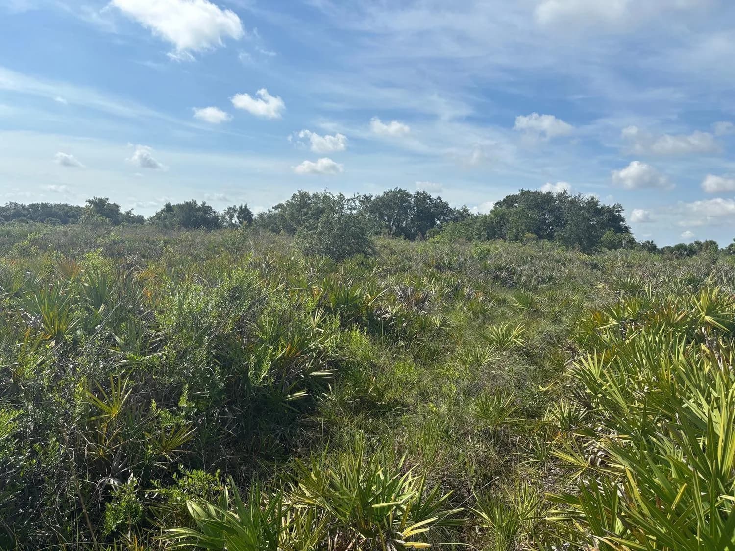 0 NW 310th Street, Okeechobee, FL 34972